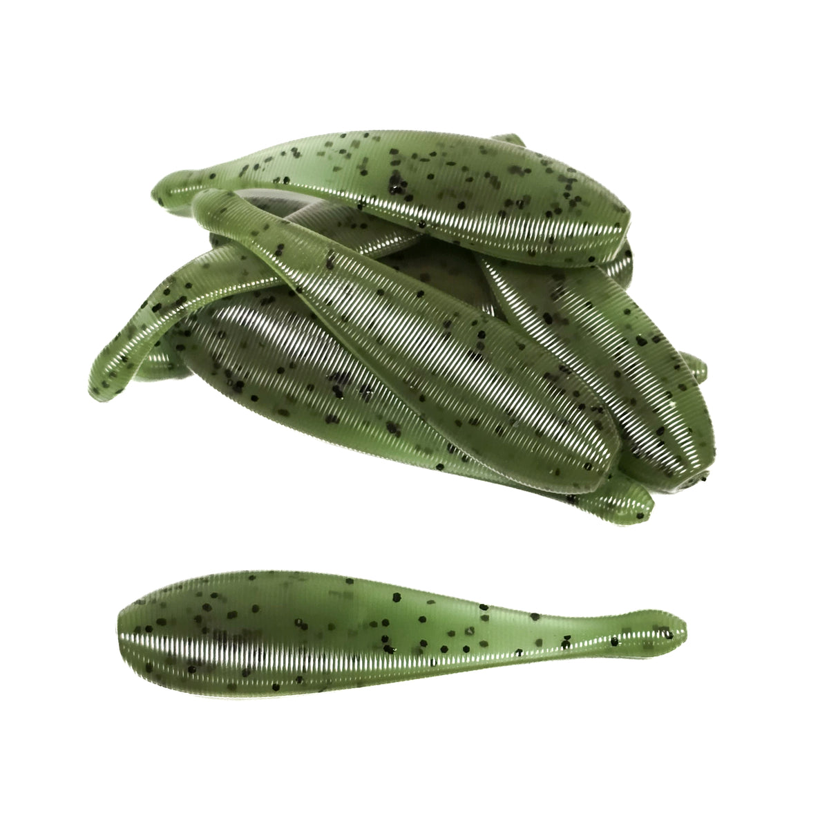 Watermelon Pumpkin Ned Leech (8pk)