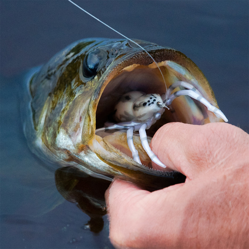 TUXIBIN 5 Pezzi Set di Esche, Pesca Esche Artificiali Morbide, Esche da TUXIBIN 5 Pezzi Set di Esche, Pesca Esche Artificiali Morbide, Esche da