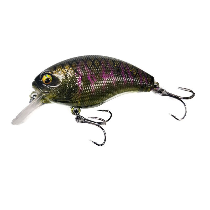 13 Fishing SCAMP 2.5 SQUARE BILL CRANKBAIT – 99 Strikes Fishing Co