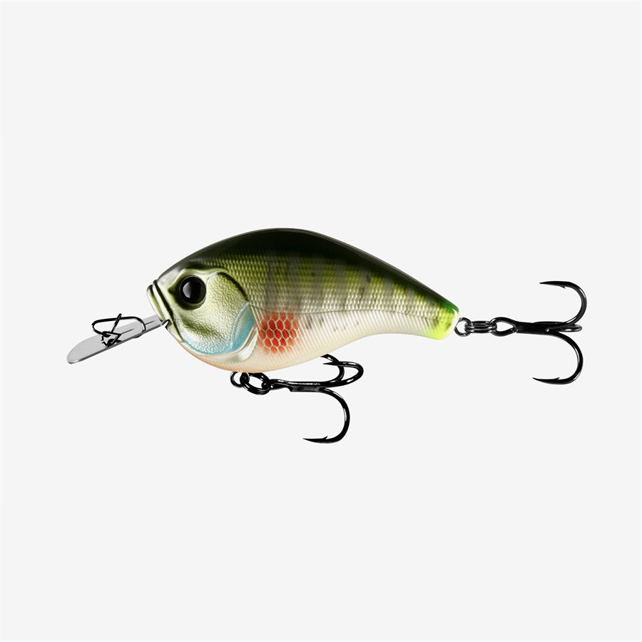 13 Fishing Jabber Jaw - Hybrid Squarebill